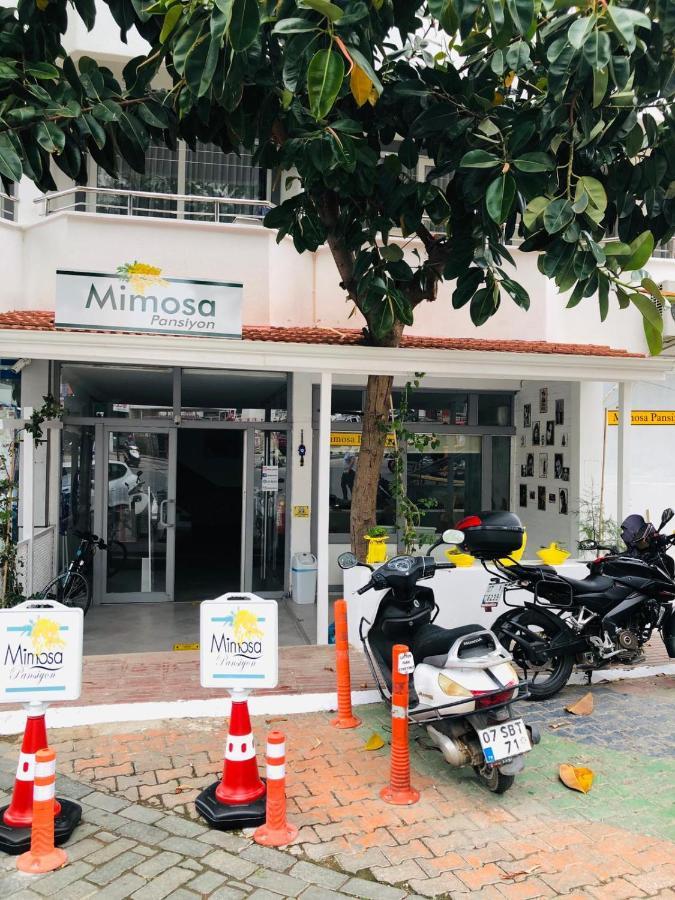 Mimosa Pension Каш Экстерьер фото
