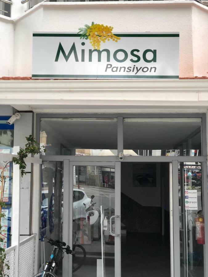 Mimosa Pension Каш Экстерьер фото