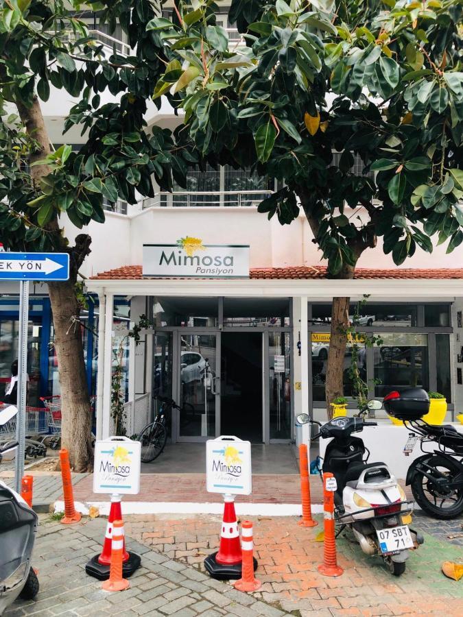 Mimosa Pension Каш Экстерьер фото