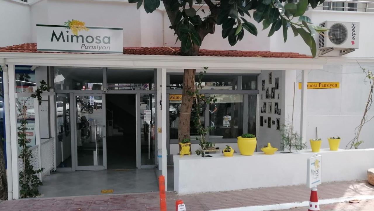 Mimosa Pension Каш Экстерьер фото